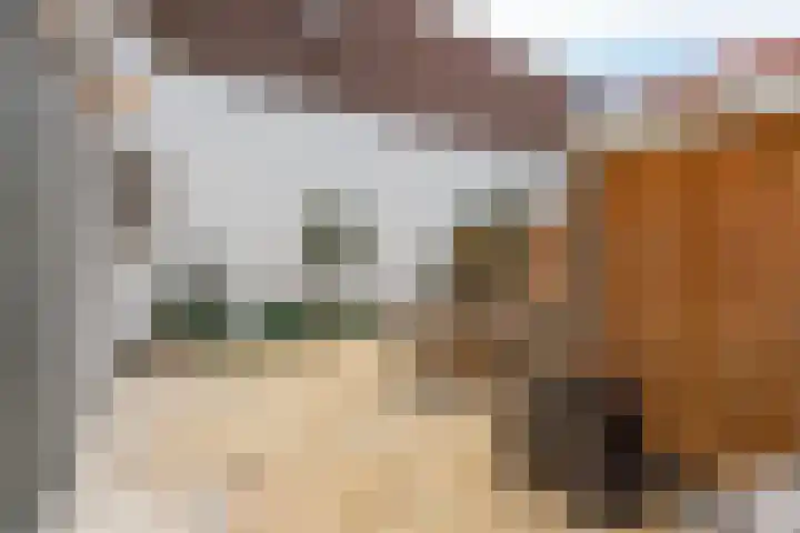 Gijsbrecht van Amstelstraat 72 Hilversum thumbnail 24
