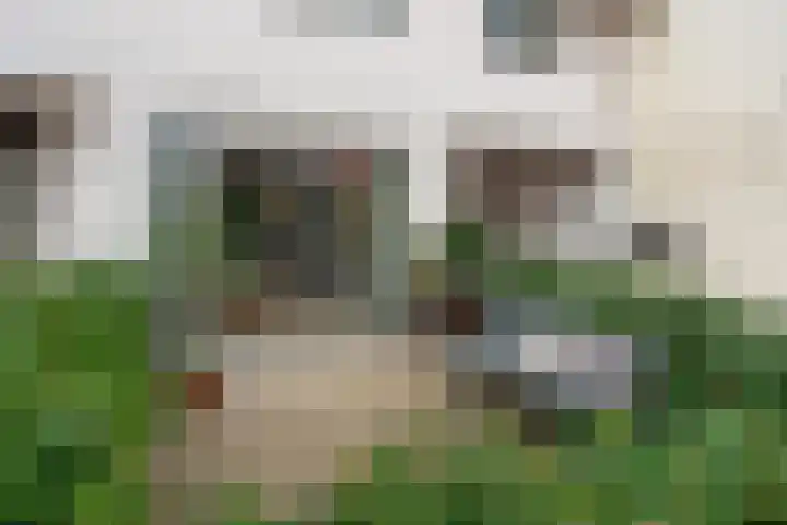 Gijsbrecht van Amstelstraat 72 Hilversum thumbnail 7