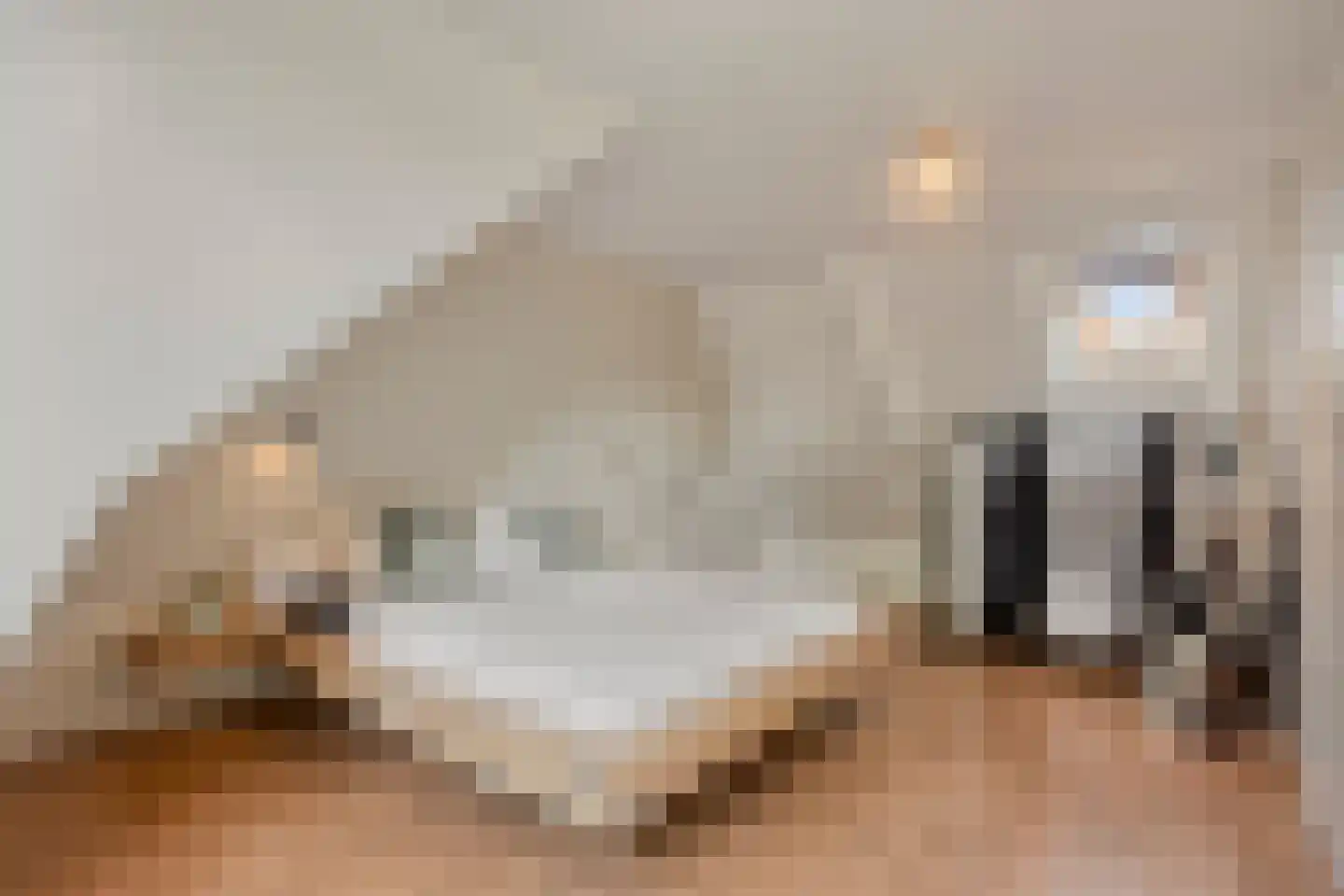 Gijsbrecht van Amstelstraat 74 A Hilversum thumbnail 27