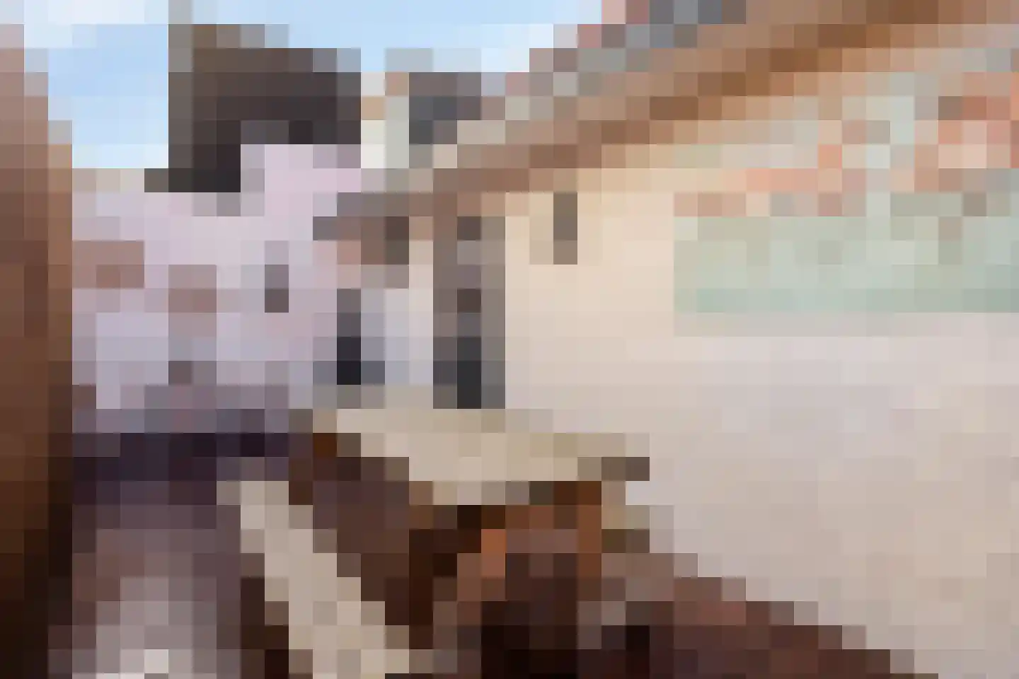 Gijsbrecht van Amstelstraat 74 A Hilversum thumbnail 33