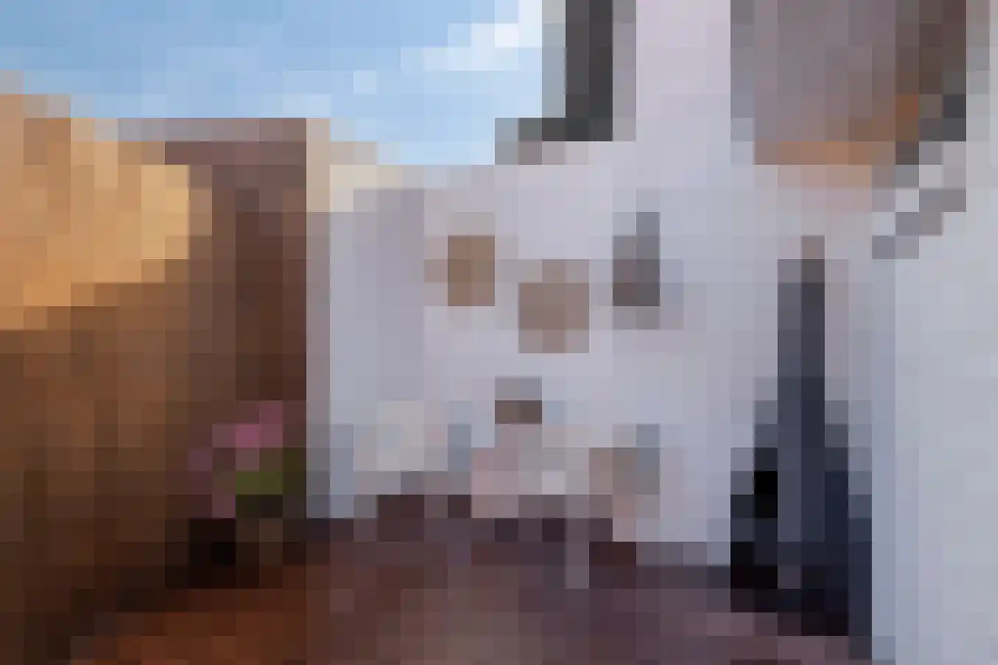 Gijsbrecht van Amstelstraat 74 A Hilversum thumbnail 34