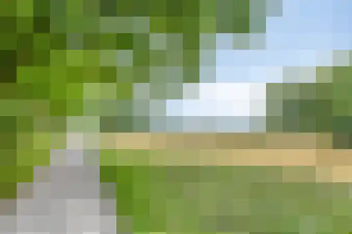 Gijsbrecht van Amstelstraat 99 A 1 Hilversum thumbnail 30