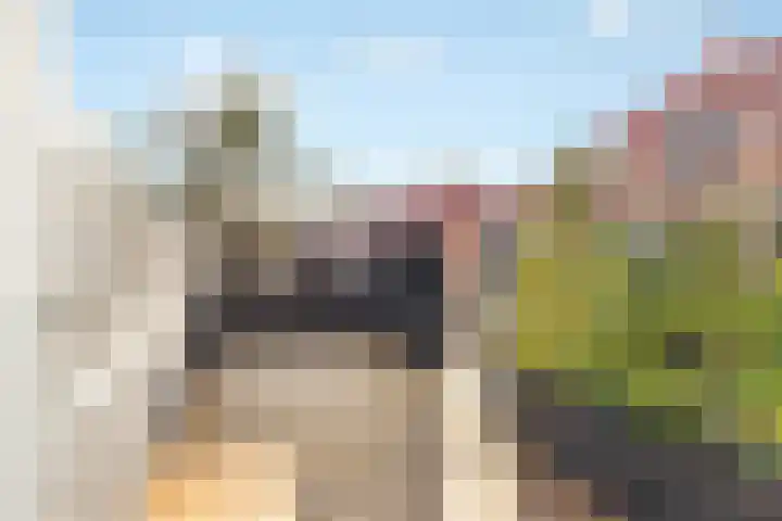 Gijsbrecht van Amstelstraat 99 A 2 Hilversum thumbnail 4
