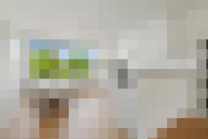 Gijsbrecht van IJselsteinstraat 107 Amsterdam thumbnail 10
