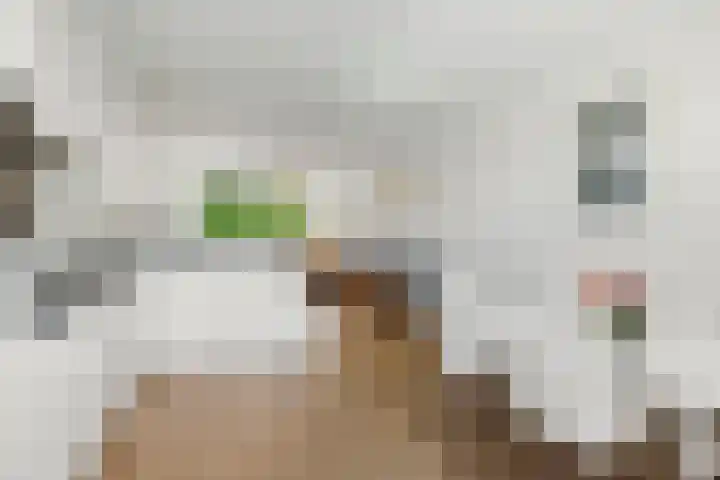 Gijsbrecht van IJselsteinstraat 107 Amsterdam thumbnail 15