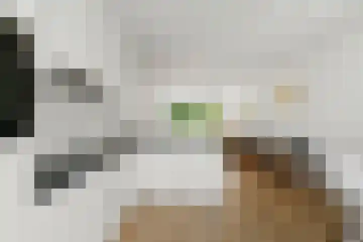 Gijsbrecht van IJselsteinstraat 107 Amsterdam thumbnail 16