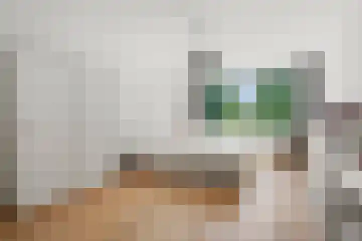 Gijsbrecht van IJselsteinstraat 107 Amsterdam thumbnail 19