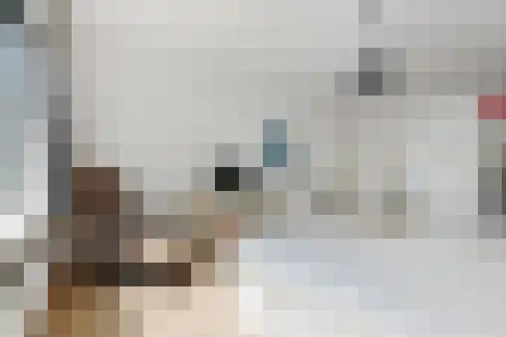 Gijsbrecht van IJselsteinstraat 107 Amsterdam thumbnail 23