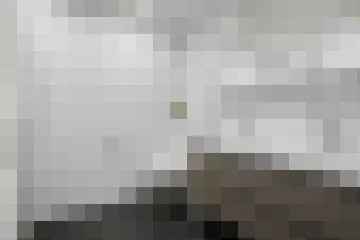 Gijsbrecht van IJselsteinstraat 107 Amsterdam thumbnail 31