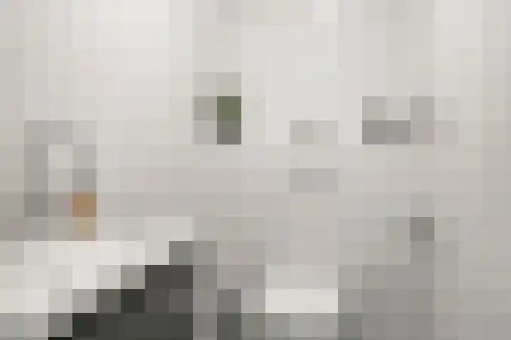 Gijsbrecht van IJselsteinstraat 107 Amsterdam thumbnail 34