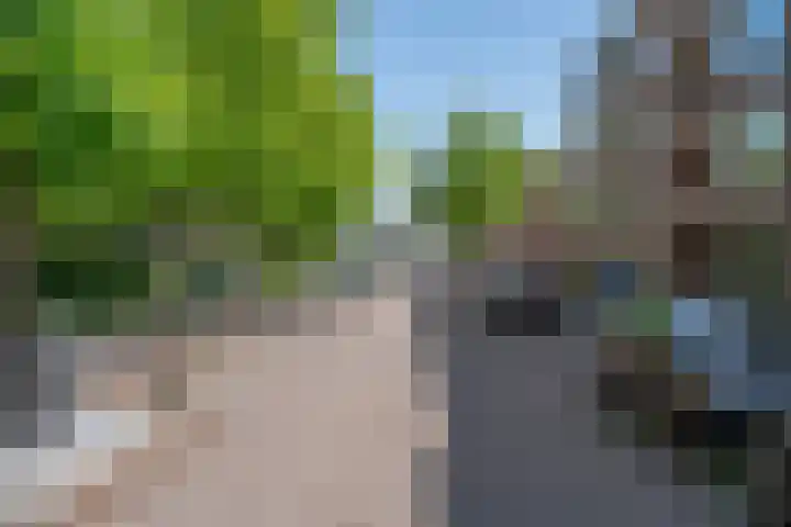 Gijsbrecht van IJselsteinstraat 107 Amsterdam thumbnail 37