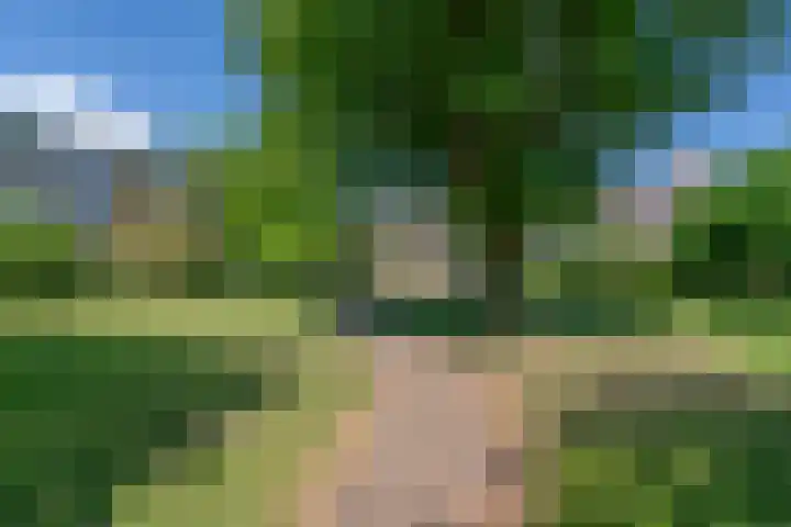 Gijsbrecht van IJselsteinstraat 107 Amsterdam thumbnail 39