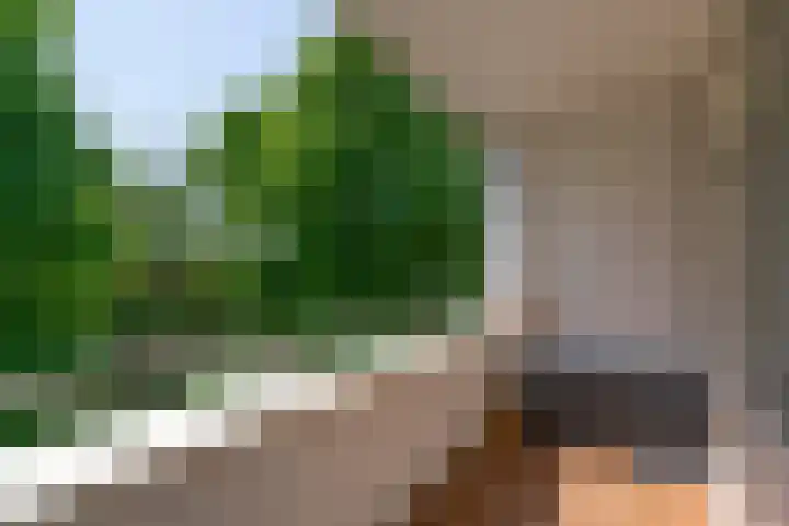Gijsbrecht van IJselsteinstraat 107 Amsterdam thumbnail 5