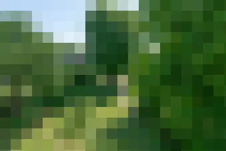 Gijsbrecht van IJselsteinstraat 107 Amsterdam thumbnail 6
