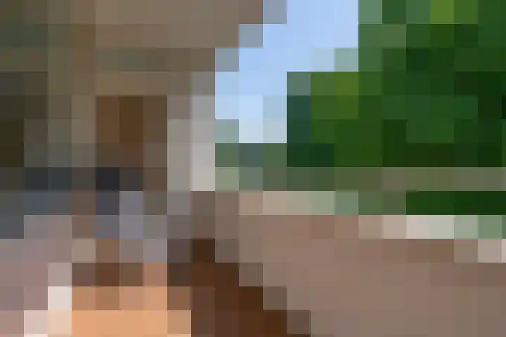 Gijsbrecht van IJselsteinstraat 107 Amsterdam thumbnail 7