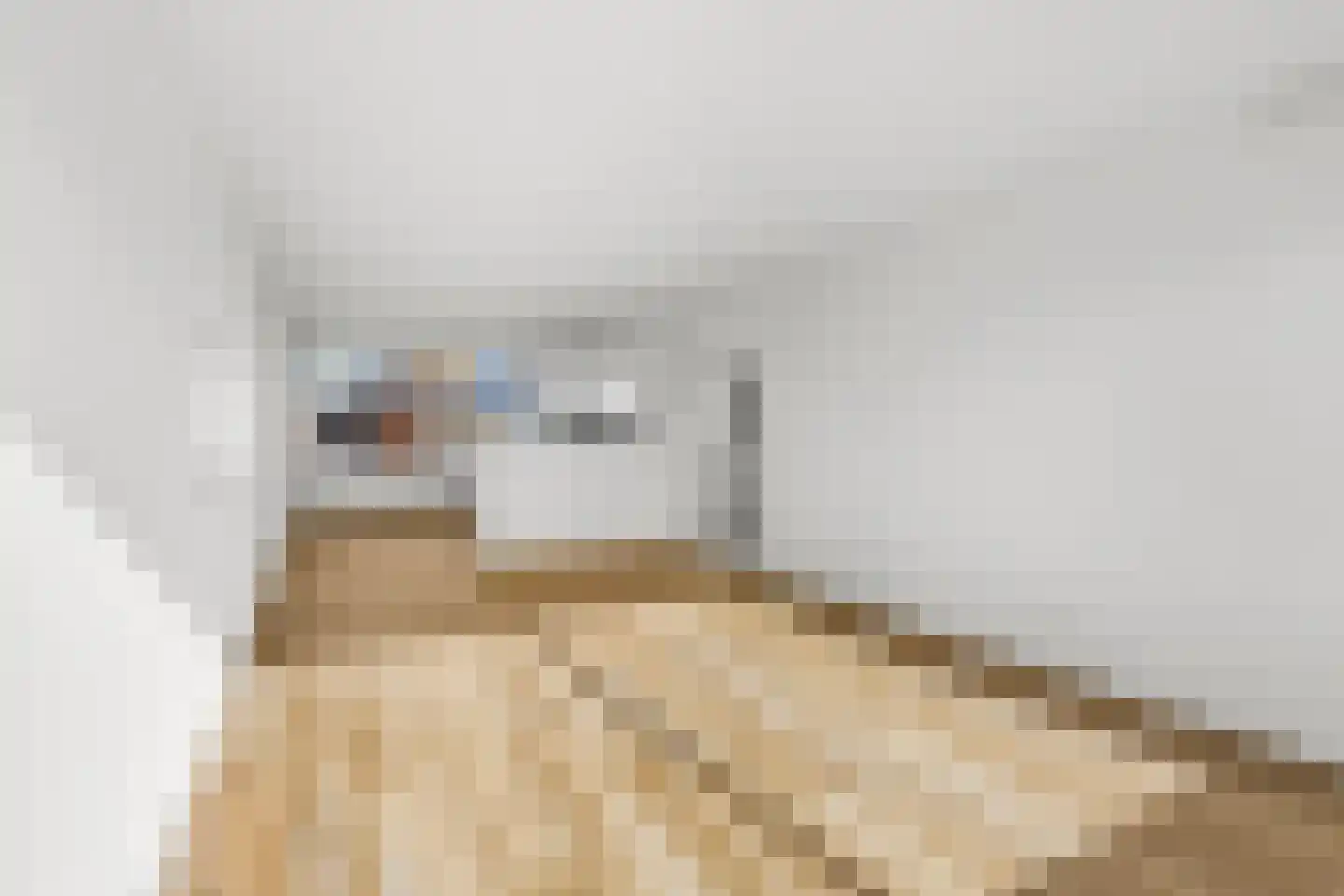 Gijsbrecht van IJselsteinstraat 125 Amsterdam thumbnail 10