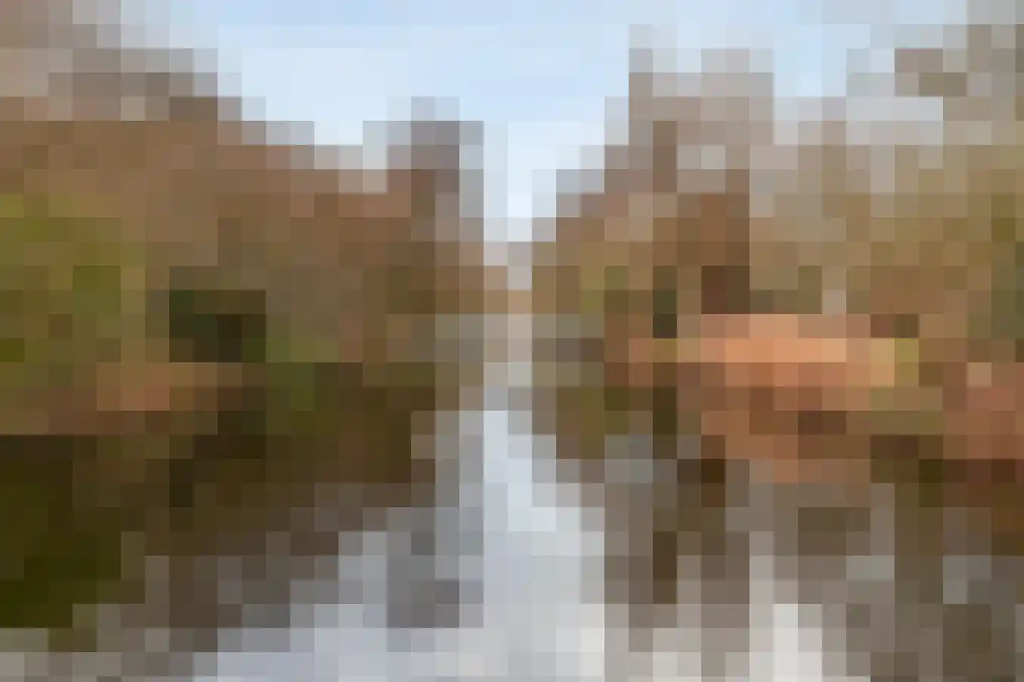 Gijsbrecht van IJselsteinstraat 125 Amsterdam thumbnail 44