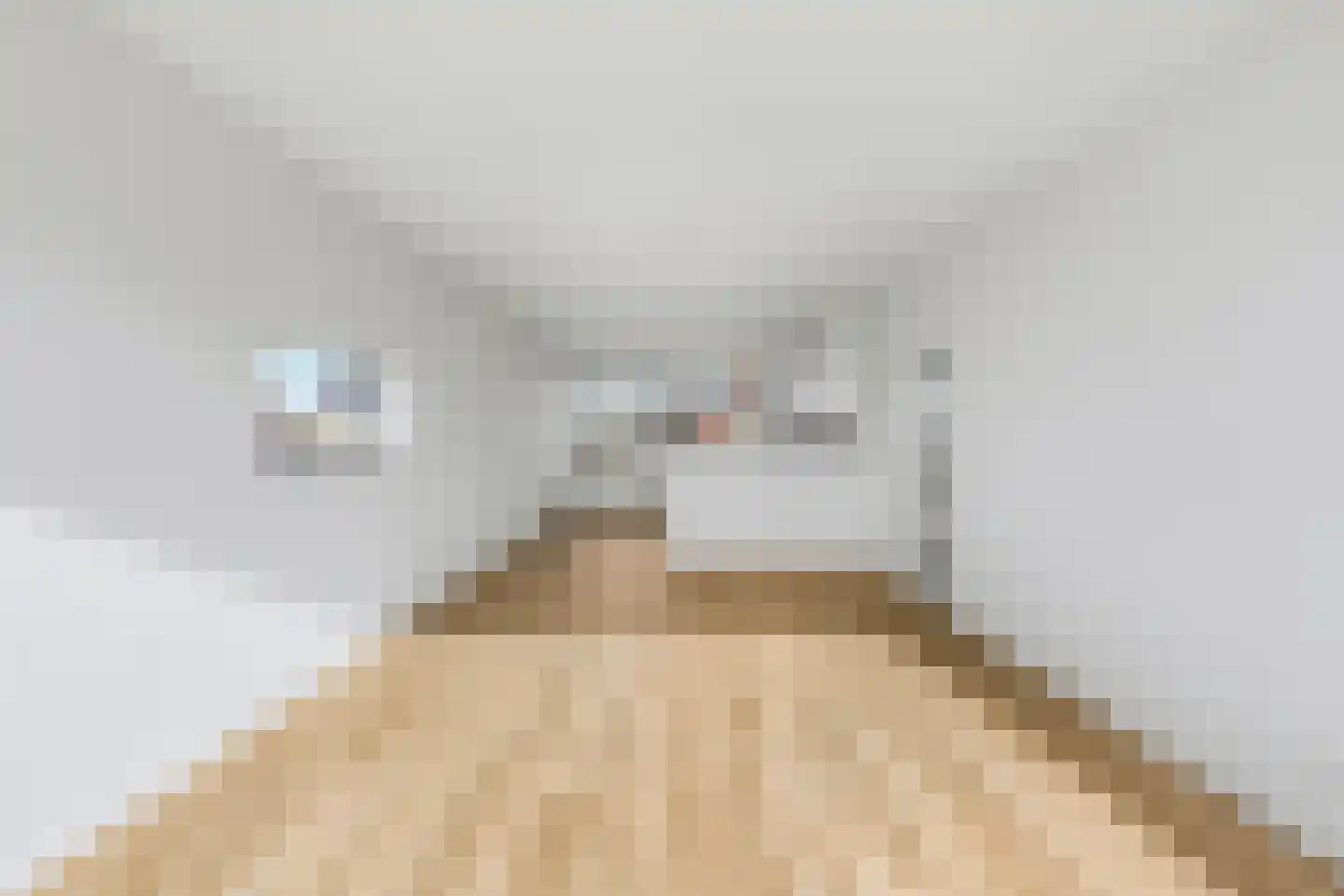 Gijsbrecht van IJselsteinstraat 125 Amsterdam thumbnail 9