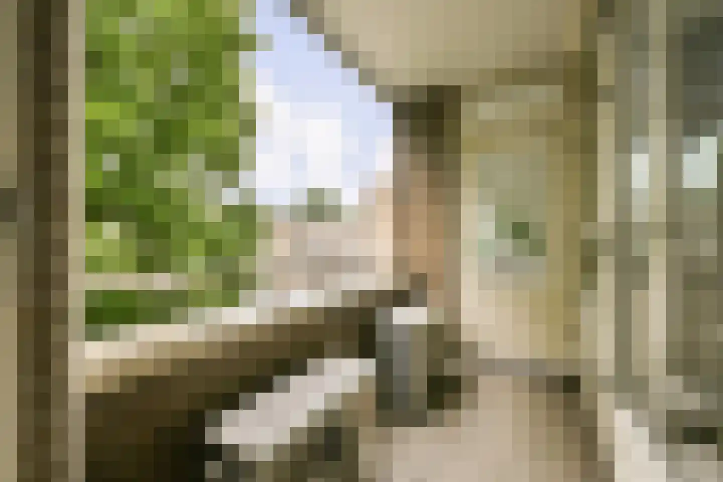 Gijsbrecht van IJselsteinstraat 187 Amsterdam thumbnail 14