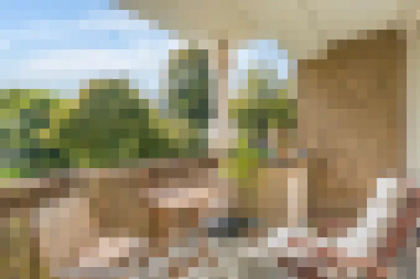 Gijsbrecht van IJselsteinstraat 215 Amsterdam thumbnail 7
