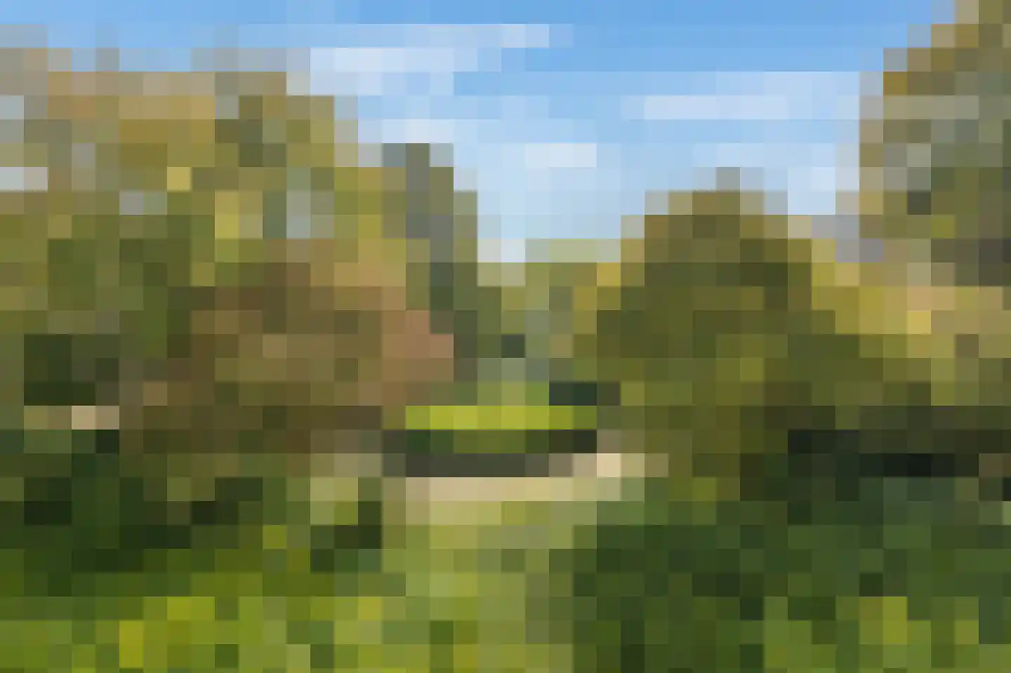 Gijsbrecht van IJselsteinstraat 215 Amsterdam thumbnail 9