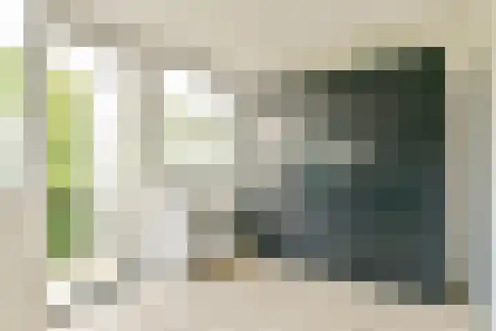 Gijsbrecht van IJselsteinstraat 219 Amsterdam thumbnail 10