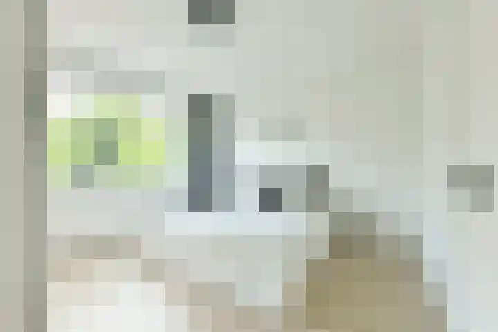 Gijsbrecht van IJselsteinstraat 219 Amsterdam thumbnail 13