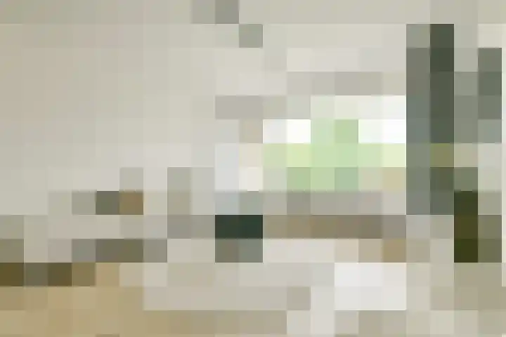 Gijsbrecht van IJselsteinstraat 219 Amsterdam thumbnail 5