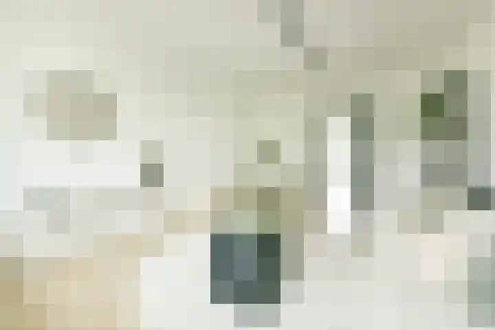 Gijsbrecht van IJselsteinstraat 219 Amsterdam thumbnail 7