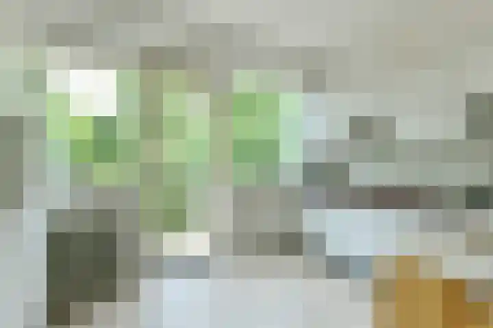 Gijsbrecht van IJselsteinstraat 231 Amsterdam thumbnail 11