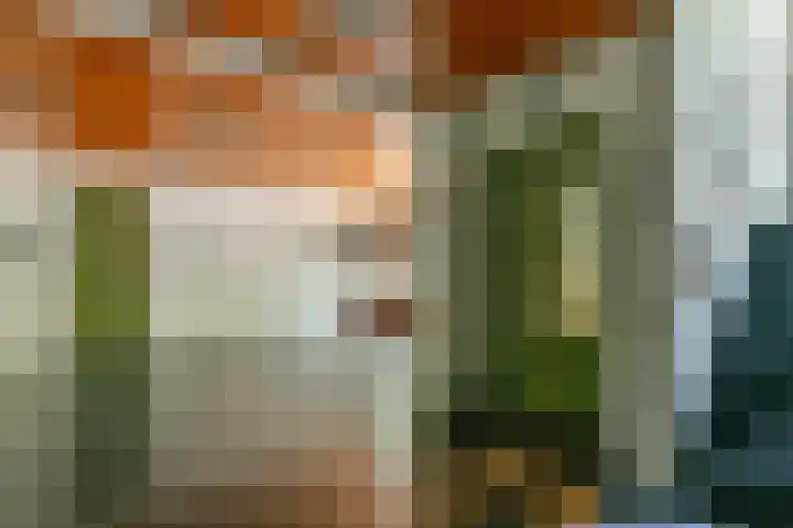 Gijsbrecht van IJselsteinstraat 231 Amsterdam thumbnail 15