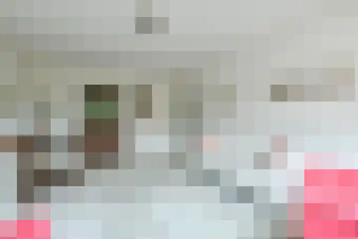 Gijsbrecht van IJselsteinstraat 231 Amsterdam thumbnail 5