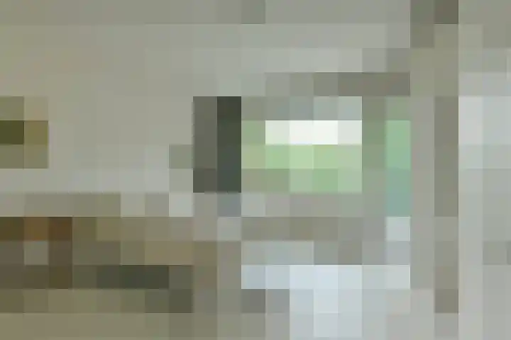 Gijsbrecht van IJselsteinstraat 231 Amsterdam thumbnail 6