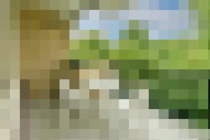 Gijsbrecht van IJselsteinstraat 231 Amsterdam thumbnail 8