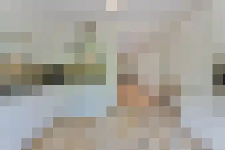 Gijsbrecht van IJselsteinstraat 235 Amsterdam thumbnail 10