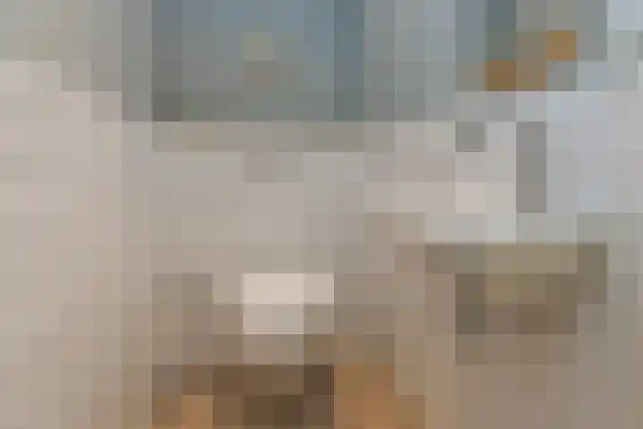 Gijsbrecht van IJselsteinstraat 235 Amsterdam thumbnail 13