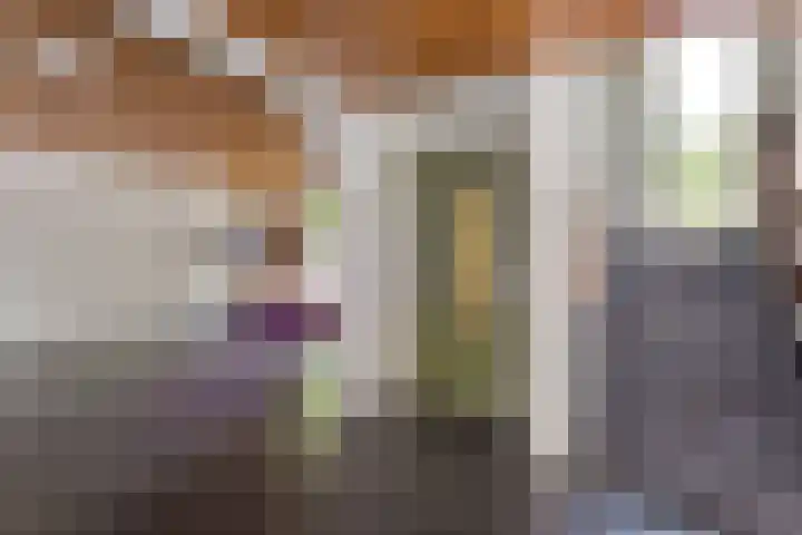 Gijsbrecht van IJselsteinstraat 235 Amsterdam thumbnail 17