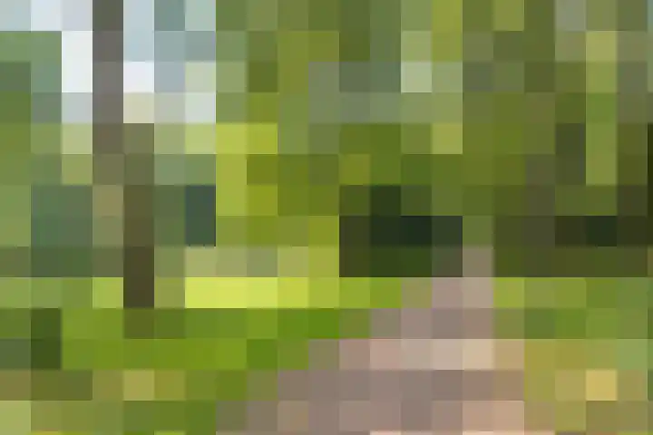 Gijsbrecht van IJselsteinstraat 235 Amsterdam thumbnail 18