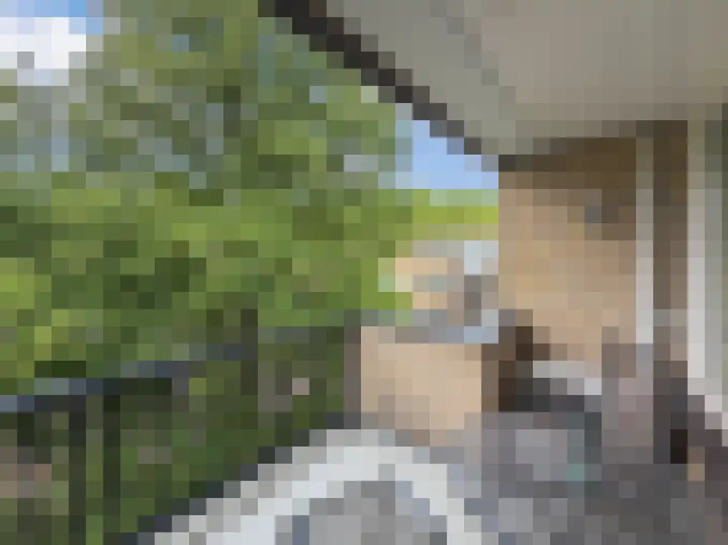 Gijsbrecht van IJselsteinstraat 255 Amsterdam thumbnail 11