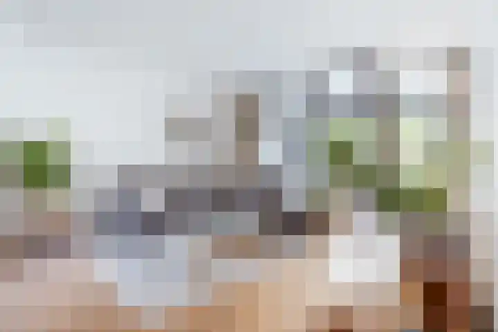 Gijsbrecht van IJselsteinstraat 35 Amsterdam thumbnail 13