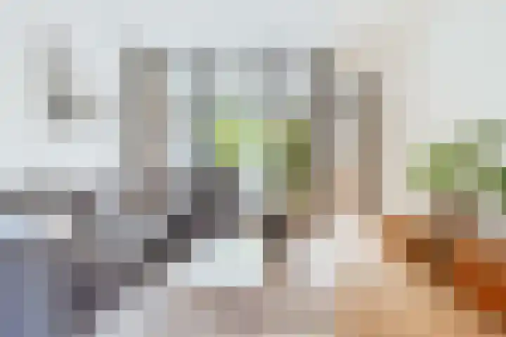 Gijsbrecht van IJselsteinstraat 35 Amsterdam thumbnail 14