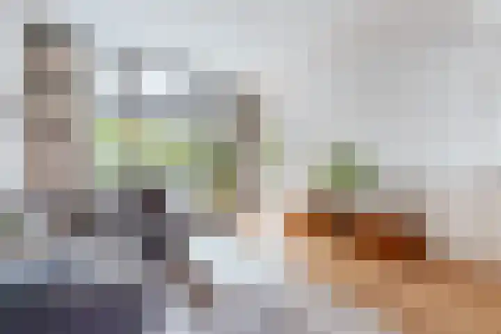 Gijsbrecht van IJselsteinstraat 35 Amsterdam thumbnail 15