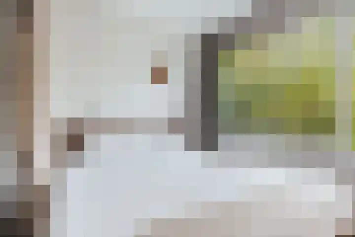 Gijsbrecht van IJselsteinstraat 35 Amsterdam thumbnail 16
