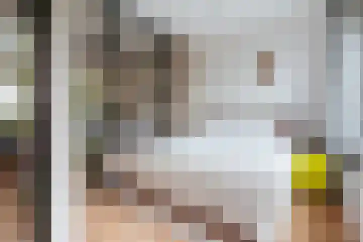 Gijsbrecht van IJselsteinstraat 35 Amsterdam thumbnail 17
