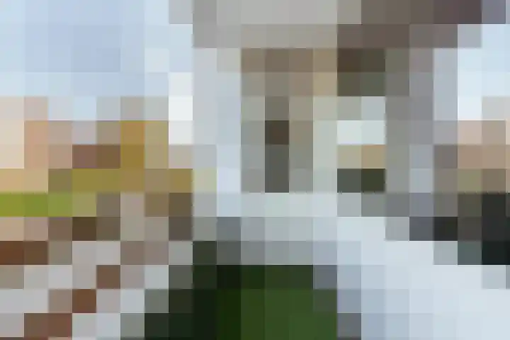 Gijsbrecht van IJselsteinstraat 35 Amsterdam thumbnail 30