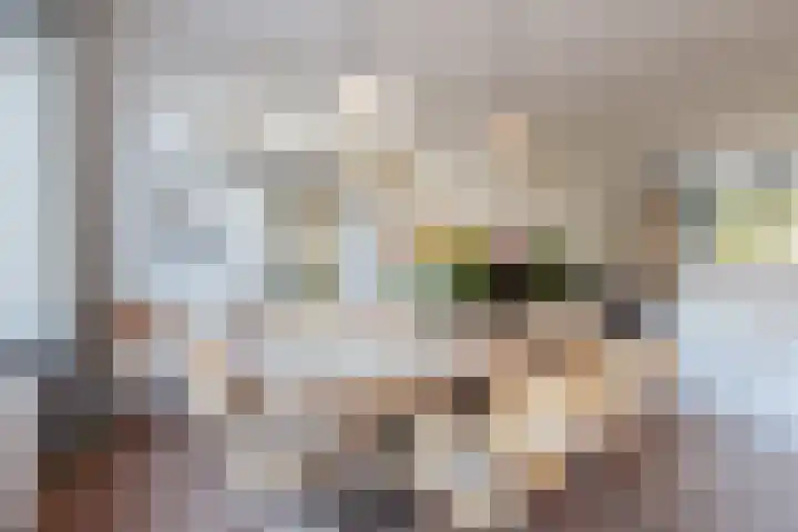 Gijsbrecht van IJselsteinstraat 35 Amsterdam thumbnail 5