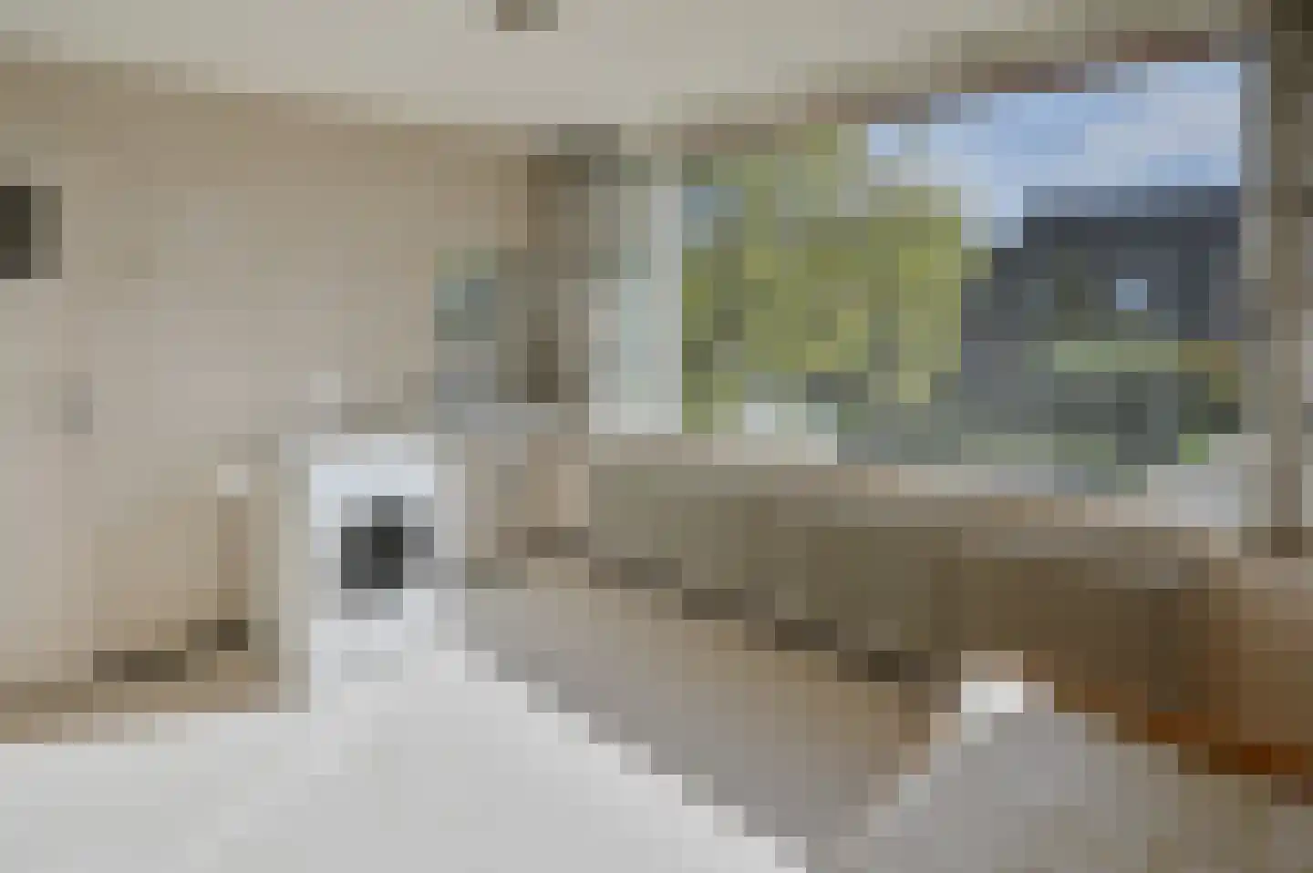 Gijsbrecht van Nijenrodestraat 147 Breukelen thumbnail 16