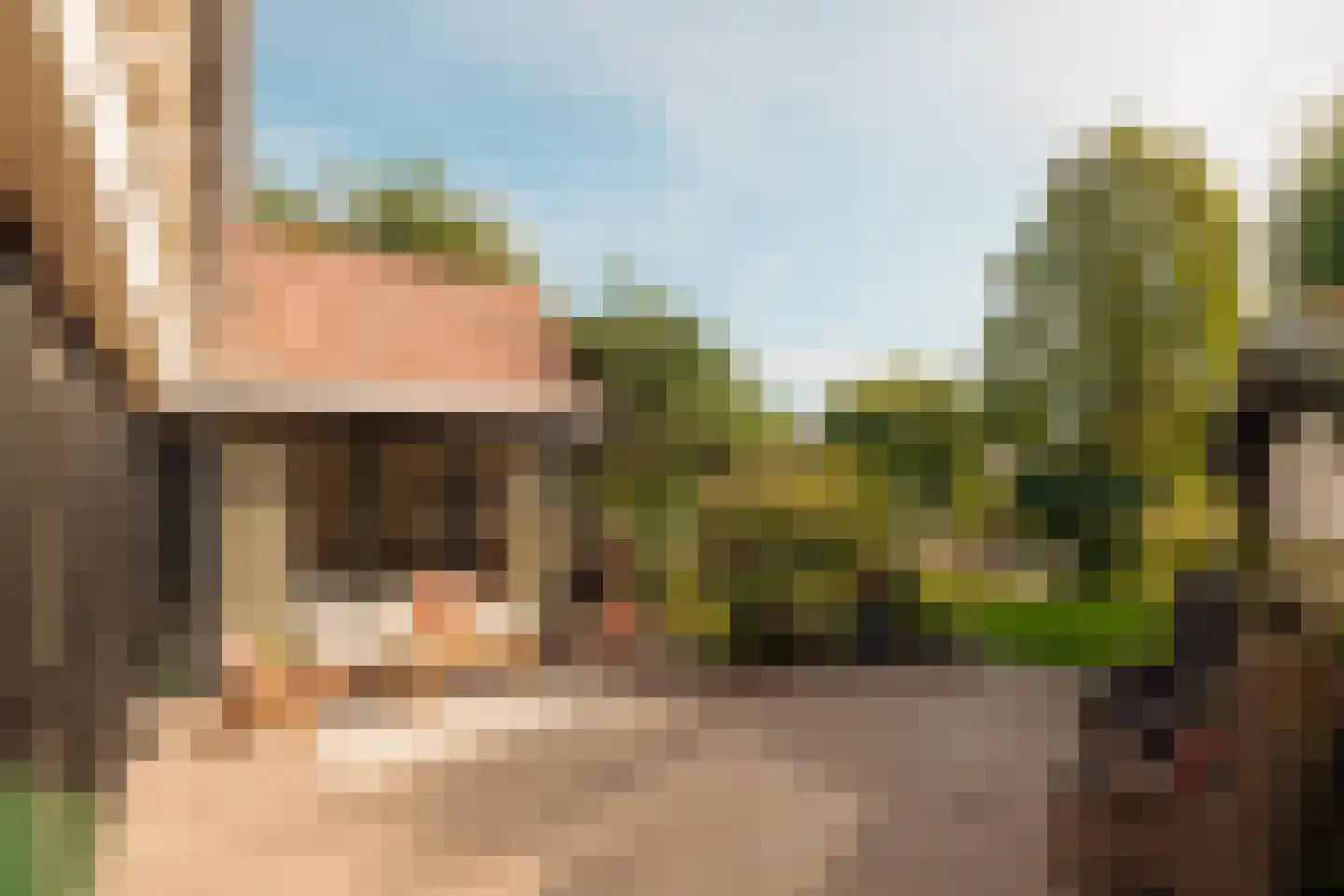 Gijsbrecht van Nijenrodestraat 152 Breukelen thumbnail 15