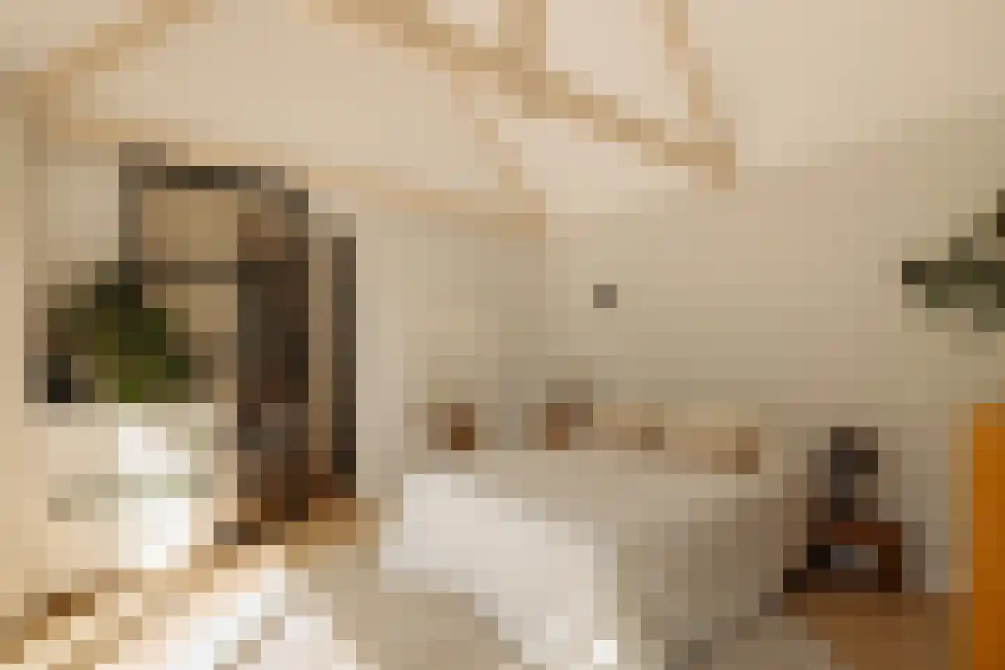 Gijsbrecht van Nijenrodestraat 152 Breukelen thumbnail 21