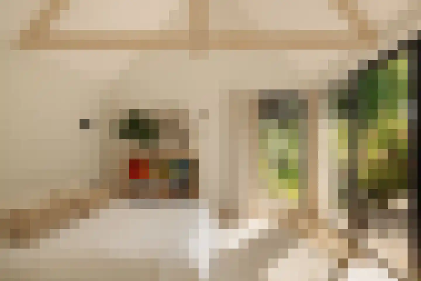 Gijsbrecht van Nijenrodestraat 152 Breukelen thumbnail 22